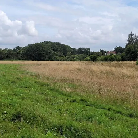 4 Person In Hovborg-by Traum