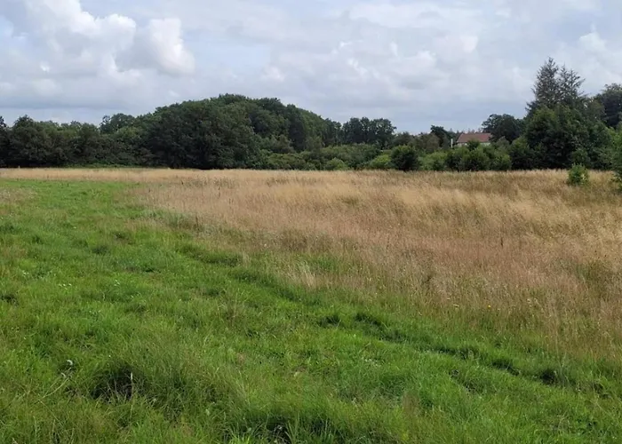 Ferienhaus 4 Person In Hovborg-by Traum