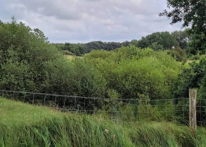 4 Person In Hovborg-by Traum