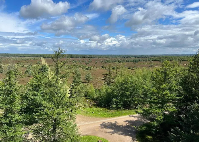 4 Person In Hovborg-by Traum Ferienhaus Hovborg