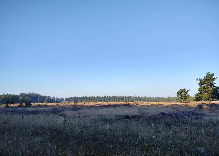 4 Person In Hovborg-by Traum Ferienhaus