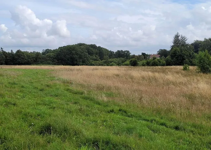 4 Person In Hovborg-by Traum