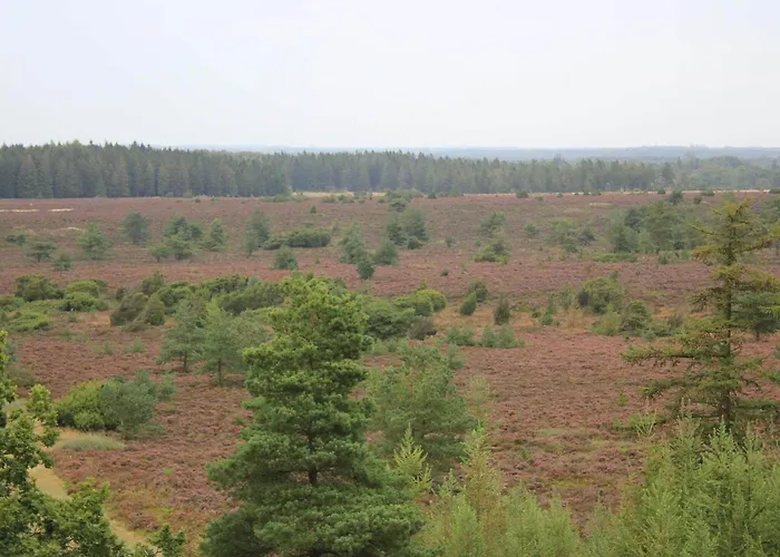 4 Person In Hovborg-by Traum Ferienhaus *