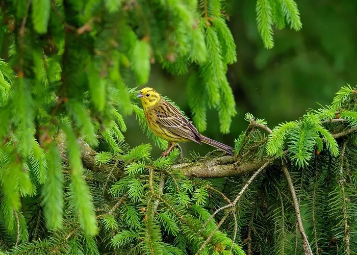 4 Person In Hovborg-by Traum Ferienhaus Hovborg